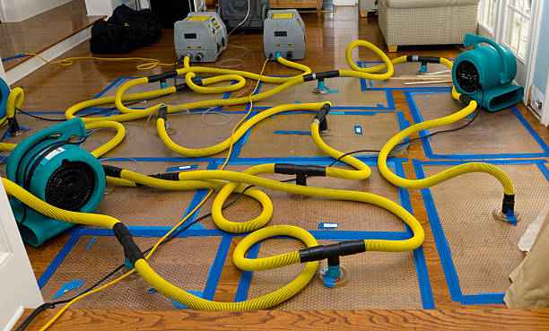 Professional Water Damage Restoration technician working in Bethel, WA
